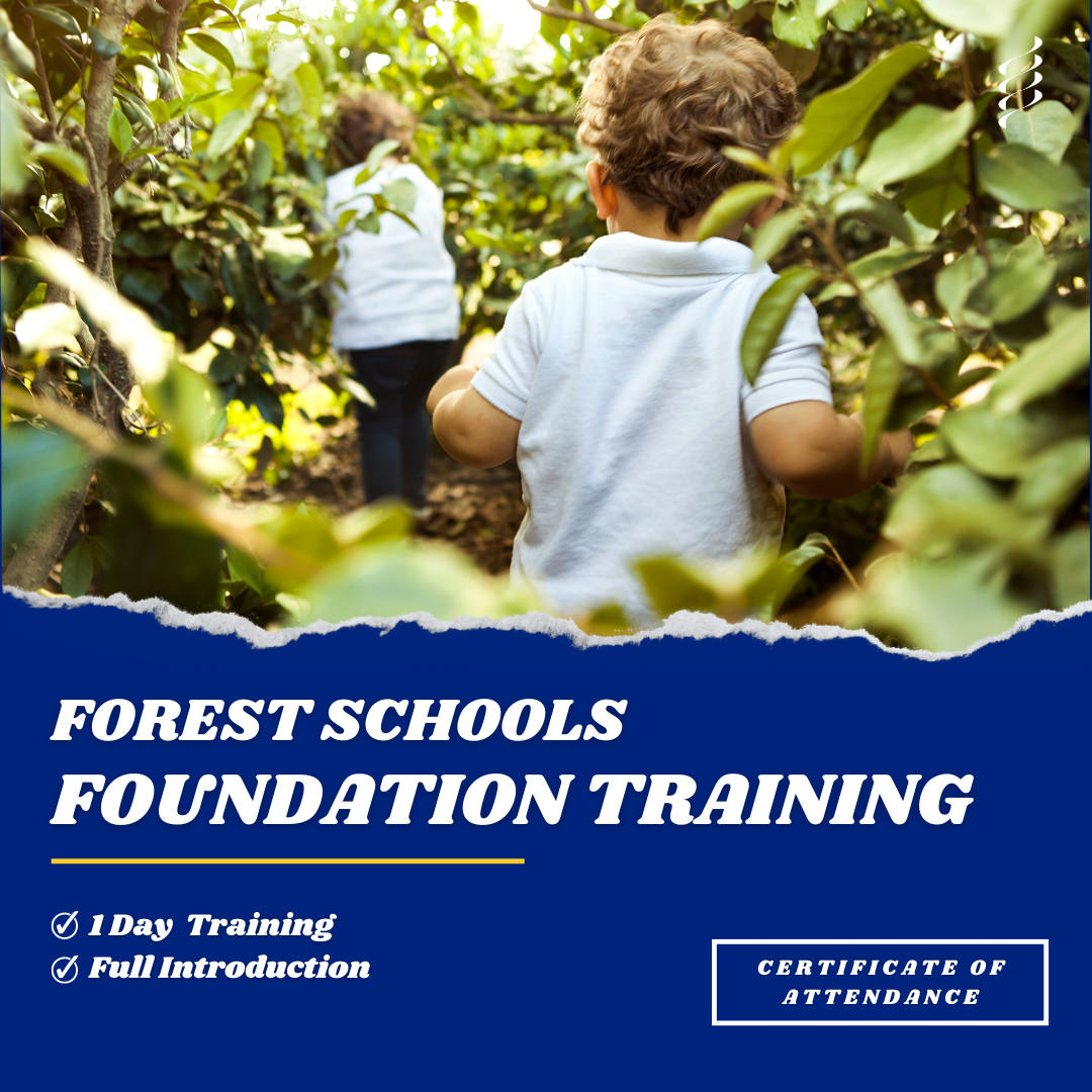 Forest Schools Foundation Training China Forest Schools Education forest-schools-foundation-training-china-forest-schools-education