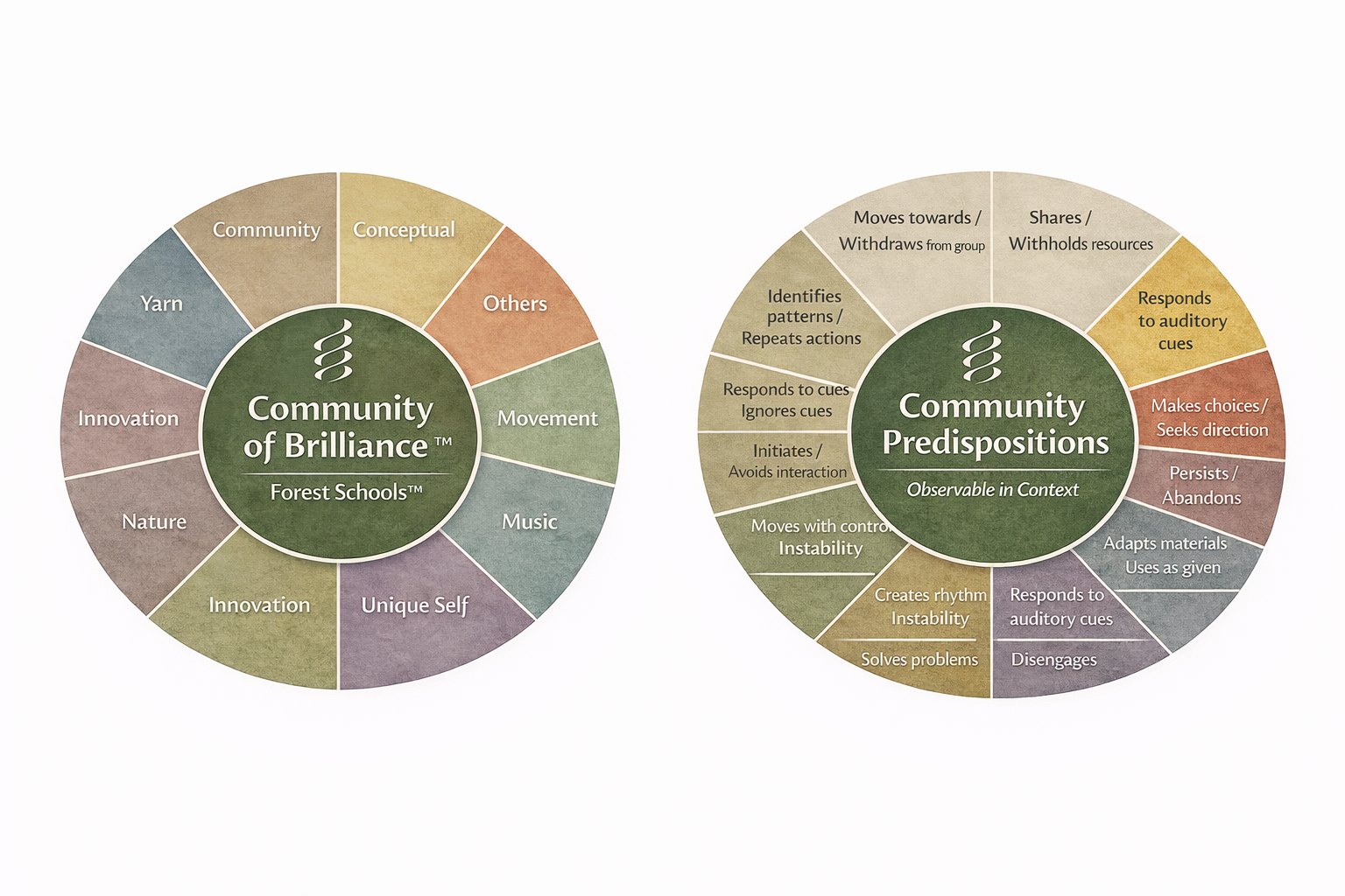 The Community of Brilliance intelligences wheel beside the attributes wheel