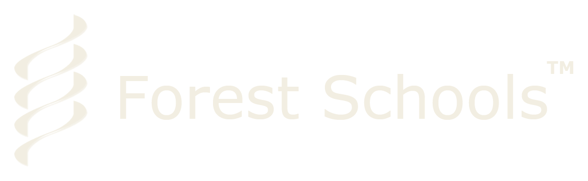 Forest Schools Education
