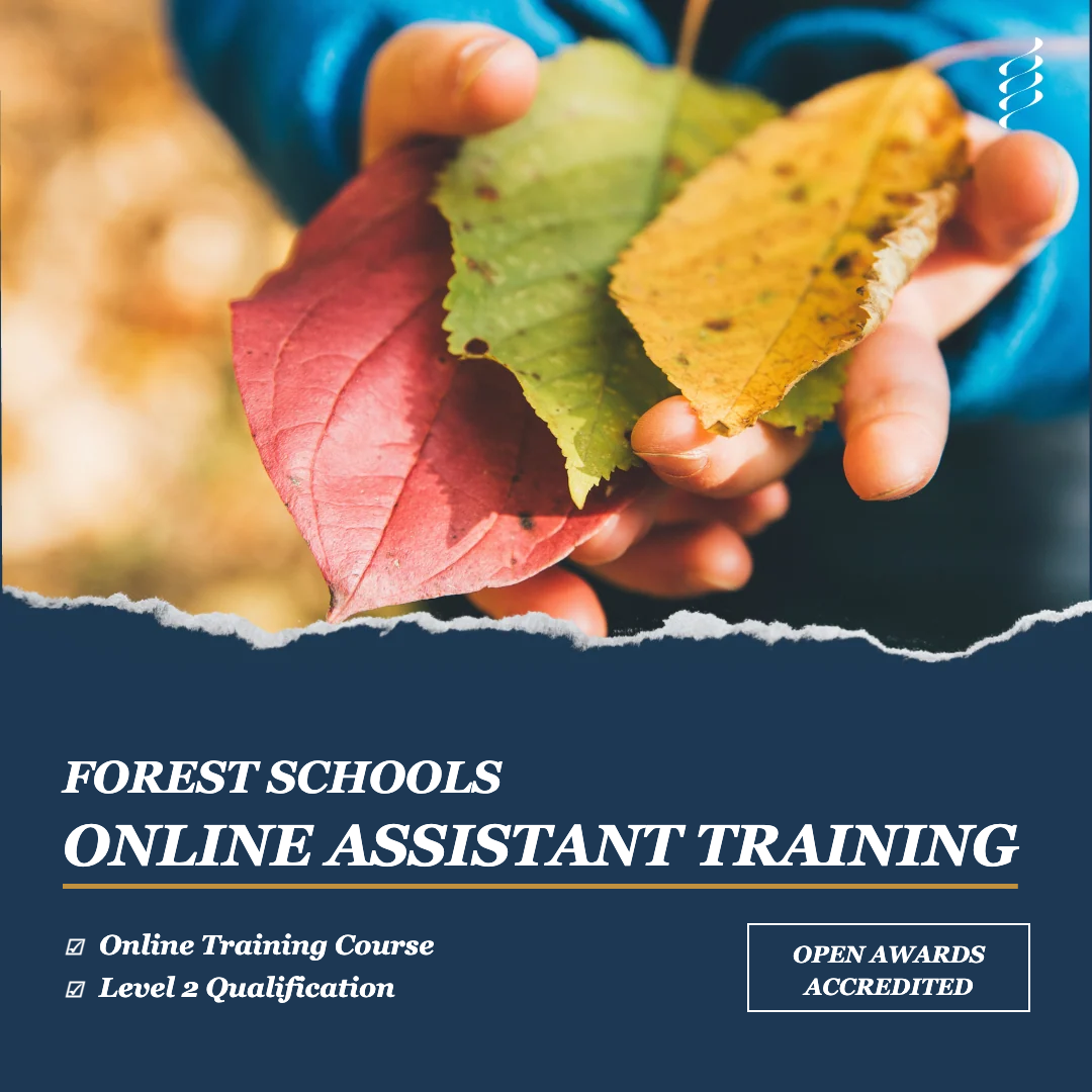 Online - Level 2 Assistant in Forest Schools