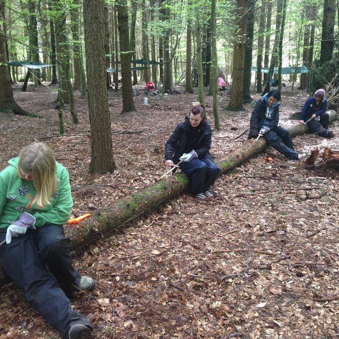 Forest Schools Hybrid Level 3 Leader Training - Blidworth - Forest ...